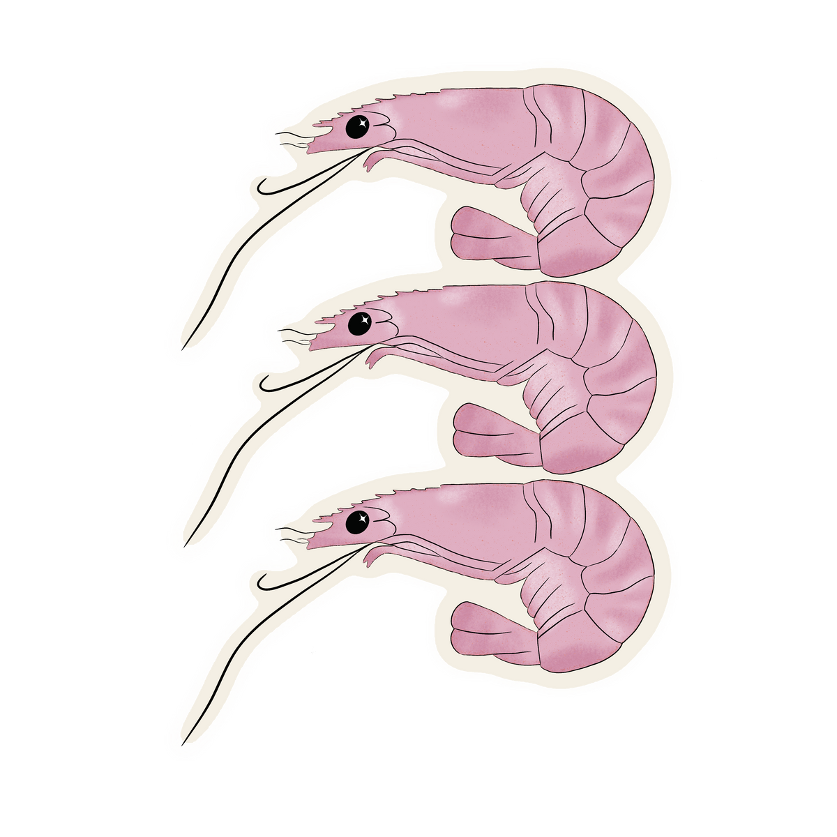 Sticker individuel | Le trio de crevettes